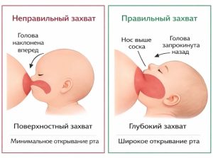 грудное вскармливание